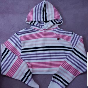 BNWT UO STRIPED CHAMPION CROPPED HOODIE